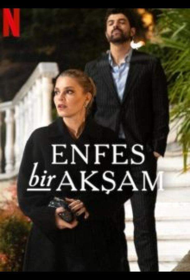 Восхитительный вечер